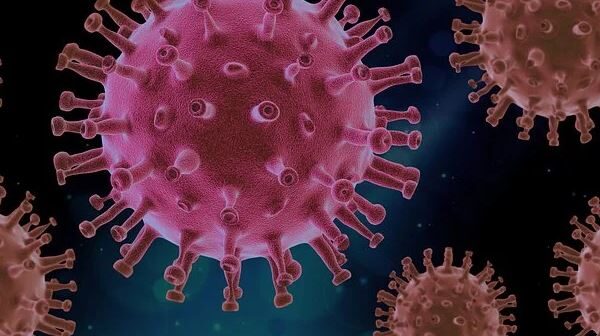 viral infections and COVID 19